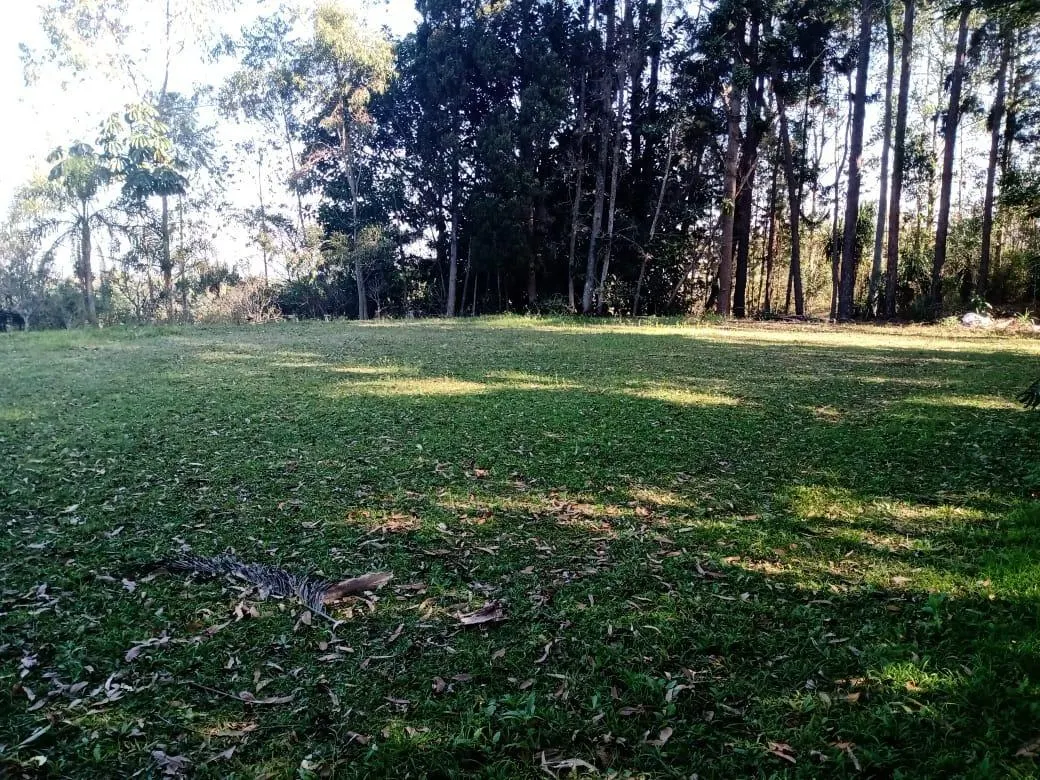 Sítio à venda de 13 ha em Piedade, SP, Brasil