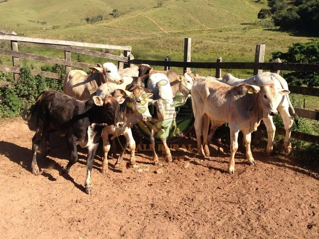 Fazenda à venda de 114 ha em Jacareí, SP, Brasil