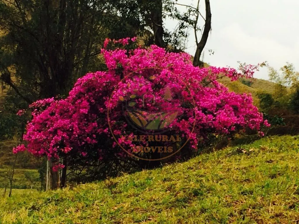 Fazenda à venda de 114 ha em Jacareí, SP, Brasil