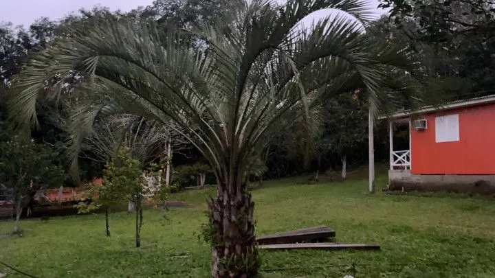 Country home for sale of 1,000 m² in Gravataí, RS, Brazil