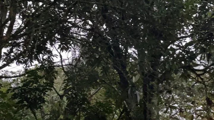 Country home for sale of 1,000 m² in Gravataí, RS, Brazil