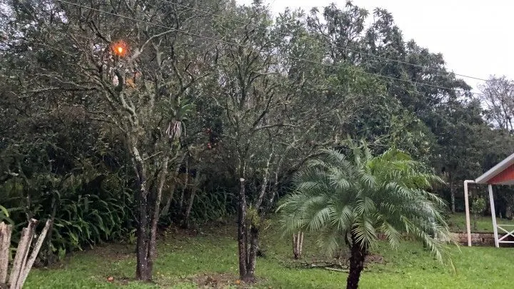 Country home for sale of 1,000 m² in Gravataí, RS, Brazil