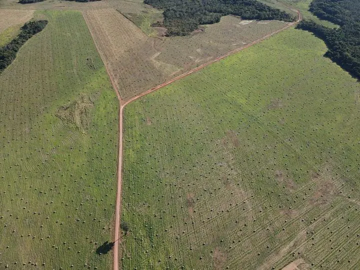 Fazenda à venda de 1.827 ha em Juquiá, SP, Brasil