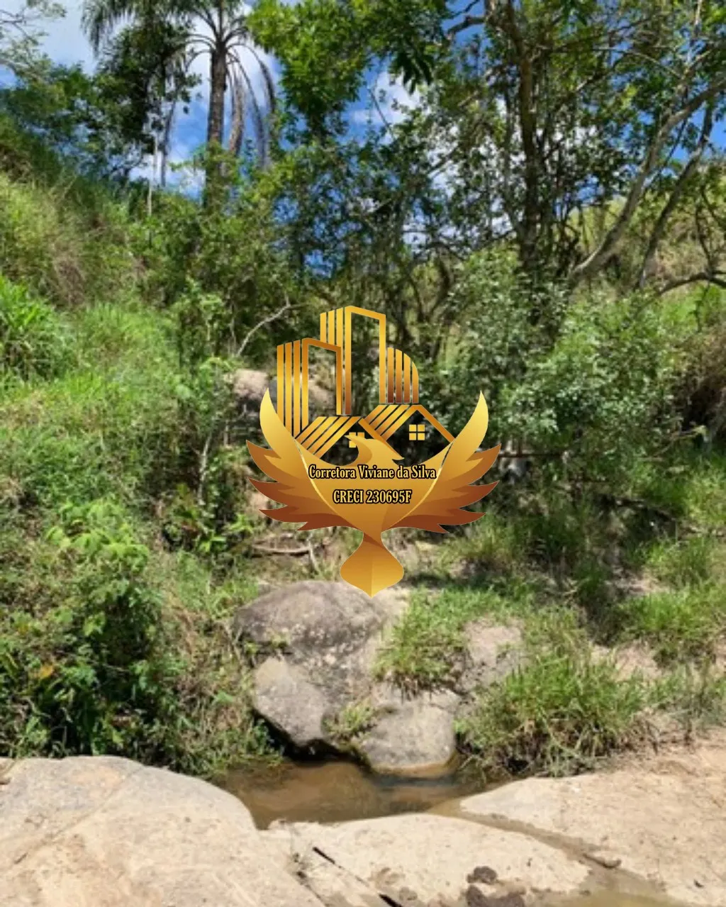 Terreno à venda de 56 ha em Natividade da Serra, SP, Brasil