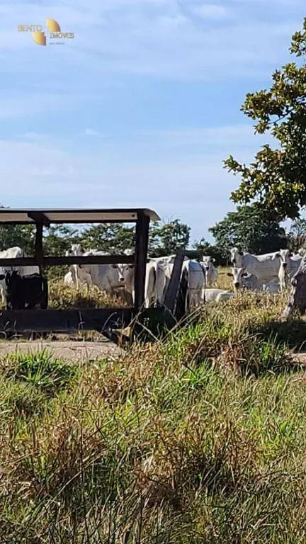 Fazenda à venda de 400 ha em Santo Antônio do Leverger, MT, Brasil