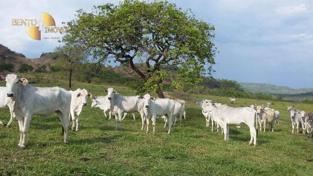 Fazenda à venda de 400 ha em Santo Antônio do Leverger, MT, Brasil