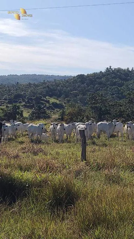 Fazenda à venda de 400 ha em Santo Antônio do Leverger, MT, Brasil