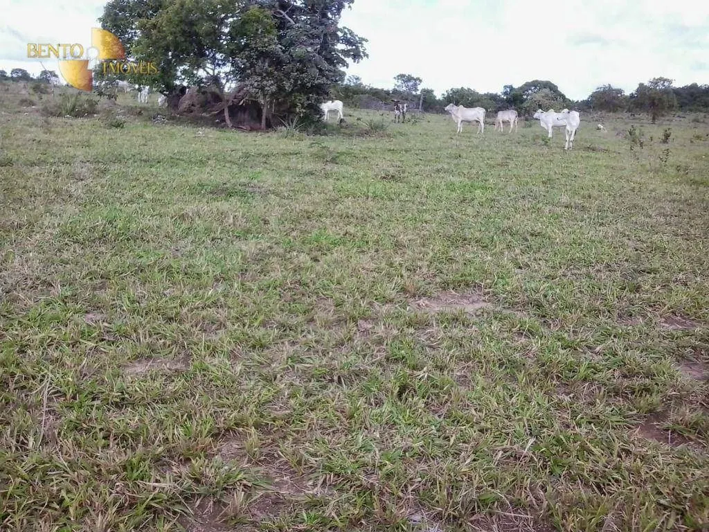 Fazenda à venda de 400 ha em Santo Antônio do Leverger, MT, Brasil