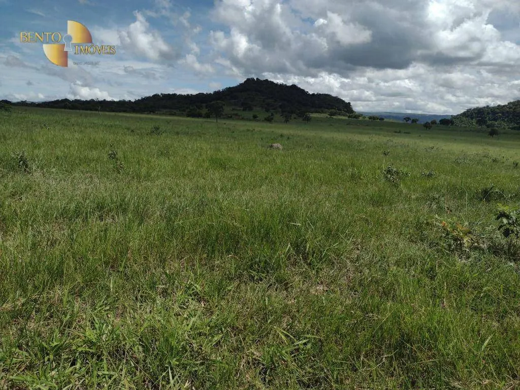 Fazenda à venda de 400 ha em Santo Antônio do Leverger, MT, Brasil