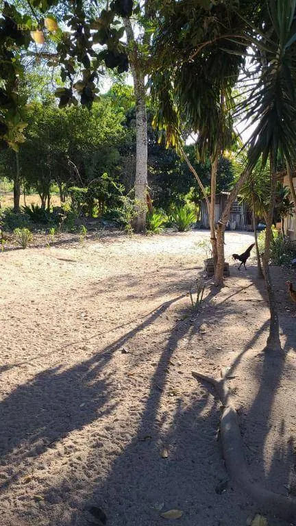 Fazenda à venda de 400 ha em Santo Antônio do Leverger, MT, Brasil