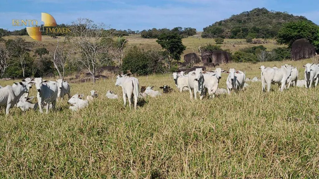 Fazenda à venda de 400 ha em Santo Antônio do Leverger, MT, Brasil