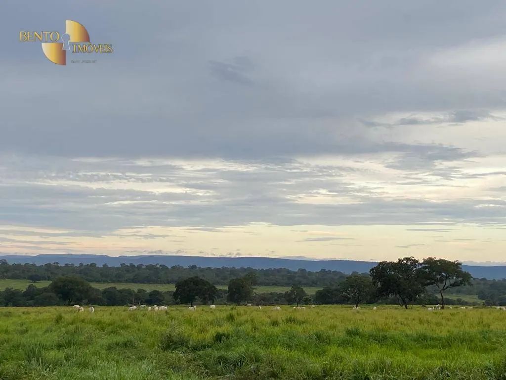Fazenda à venda de 2.500 ha em Guiratinga, MT, Brasil