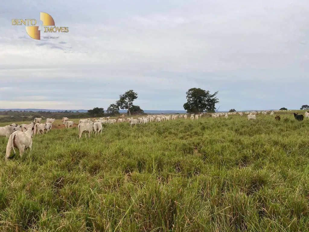 Fazenda à venda de 2.500 ha em Guiratinga, MT, Brasil