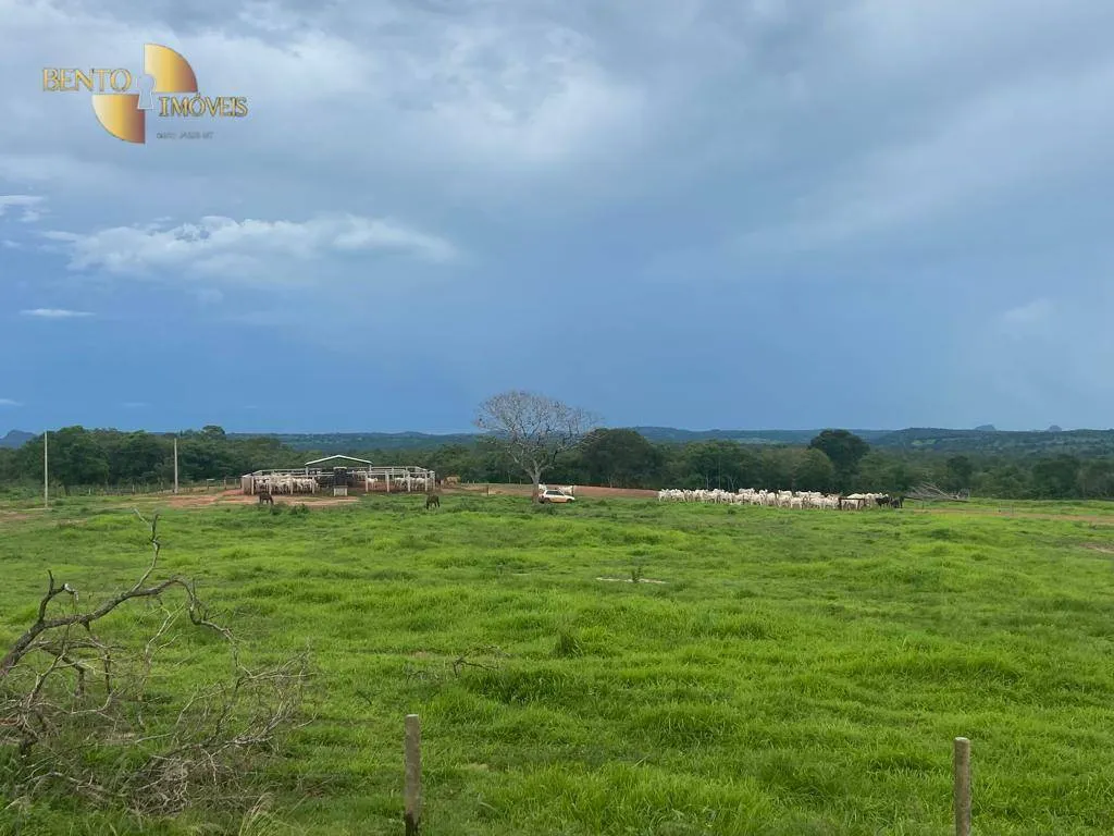 Fazenda à venda de 2.500 ha em Guiratinga, MT, Brasil
