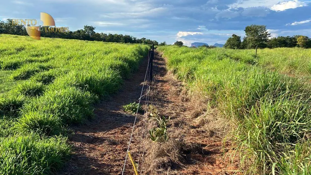 Fazenda à venda de 2.500 ha em Guiratinga, MT, Brasil