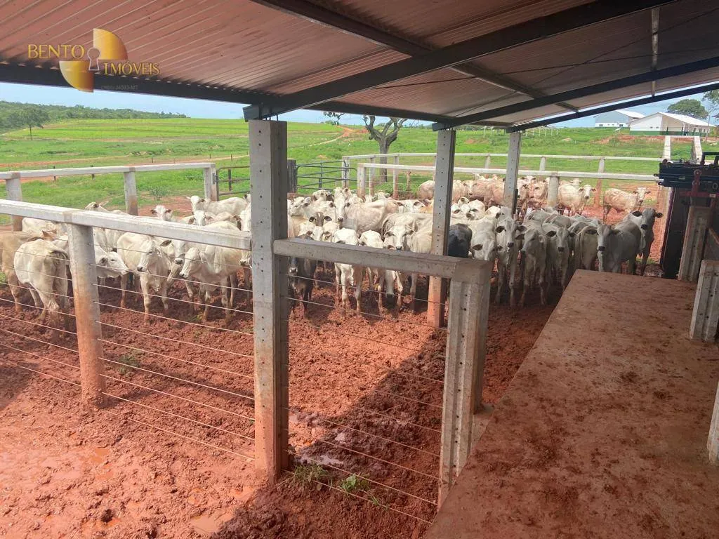 Fazenda à venda de 2.500 ha em Guiratinga, MT, Brasil