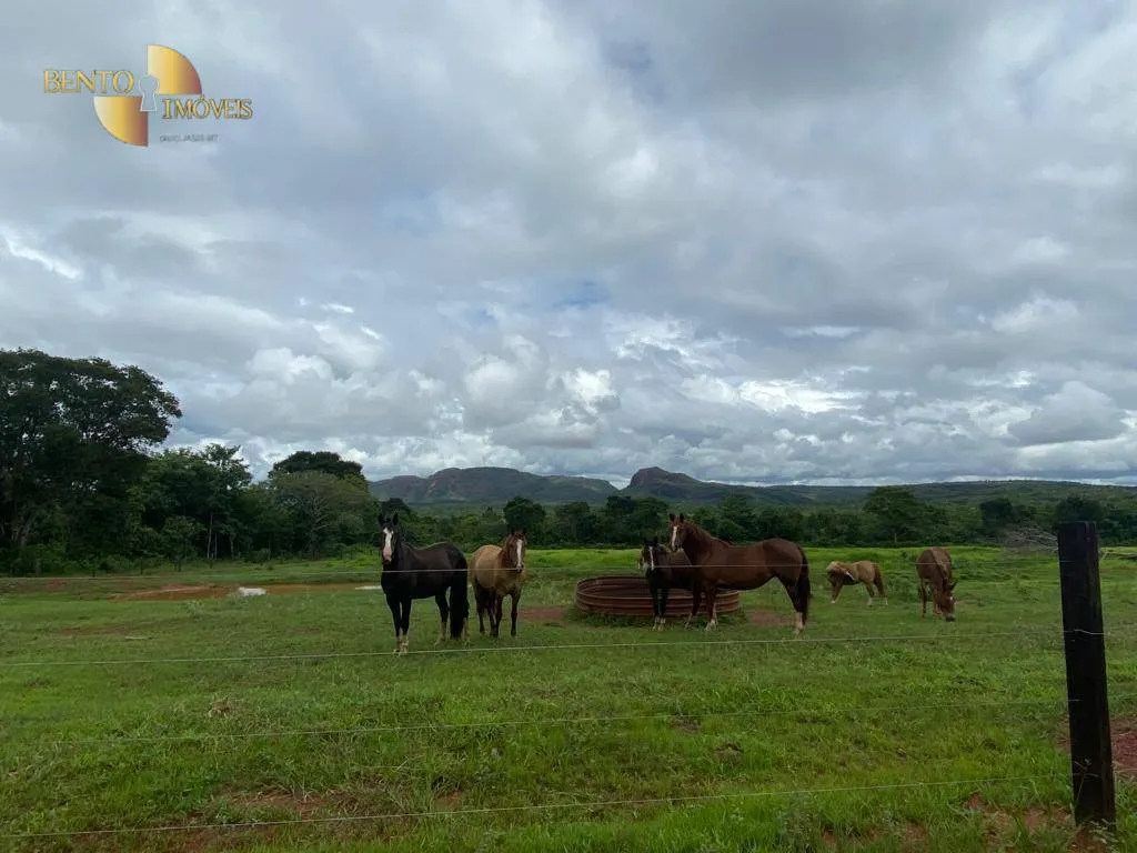 Fazenda à venda de 2.500 ha em Guiratinga, MT, Brasil