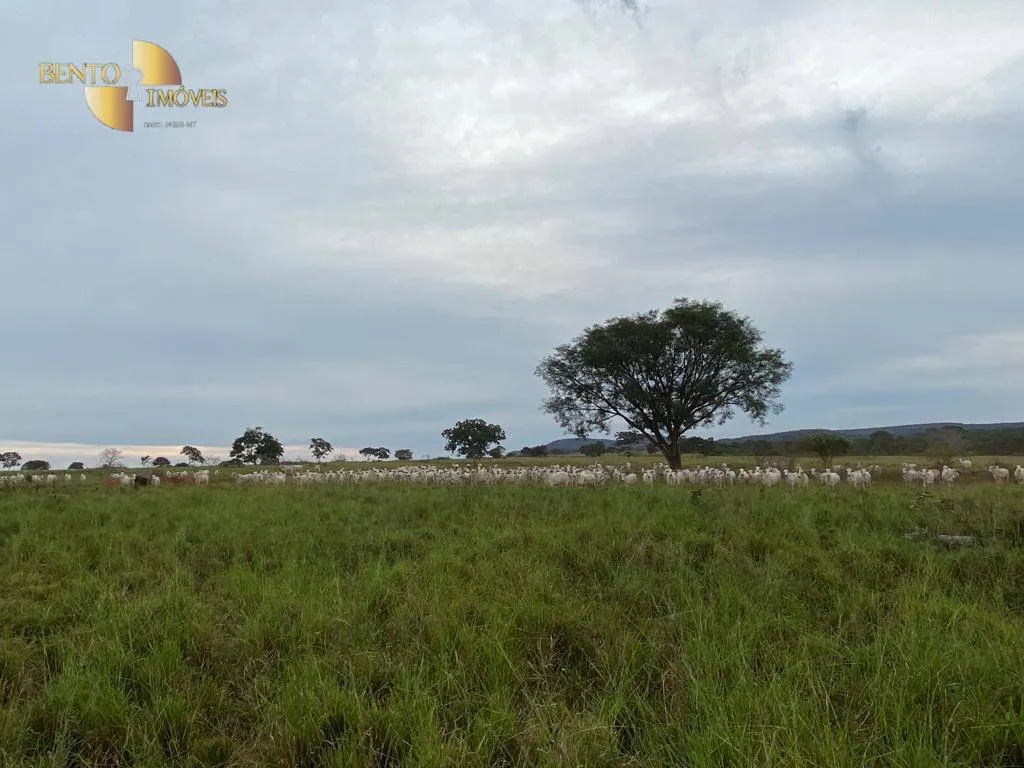Fazenda à venda de 2.500 ha em Guiratinga, MT, Brasil