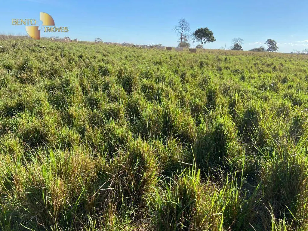 Fazenda à venda de 2.500 ha em Guiratinga, MT, Brasil