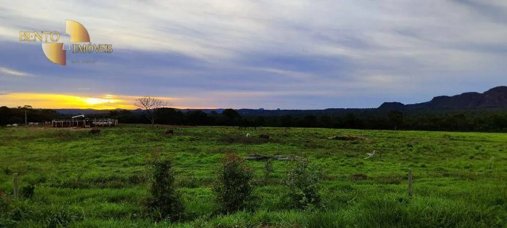 Fazenda à venda de 2.500 ha em Guiratinga, MT, Brasil