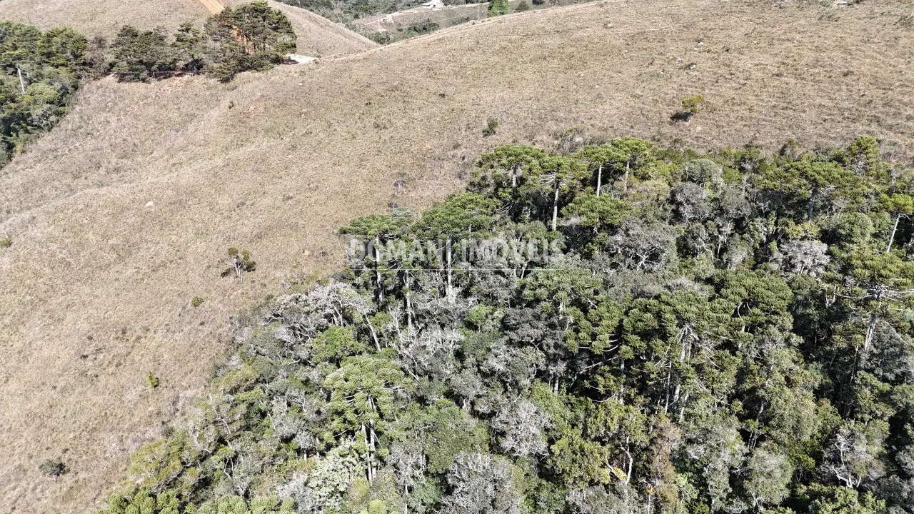 Plot for sale of 11 acres in Campos do Jordão, SP, Brazil