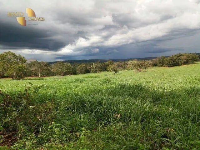 Fazenda à venda de 407 ha em Dom Aquino, MT, Brasil
