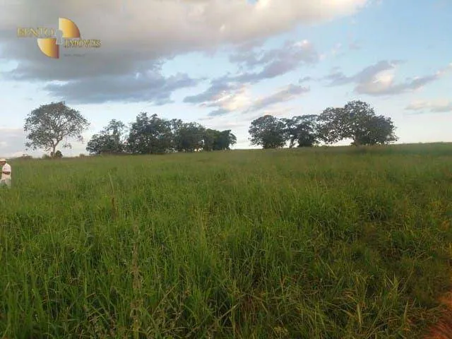 Fazenda à venda de 407 ha em Dom Aquino, MT, Brasil