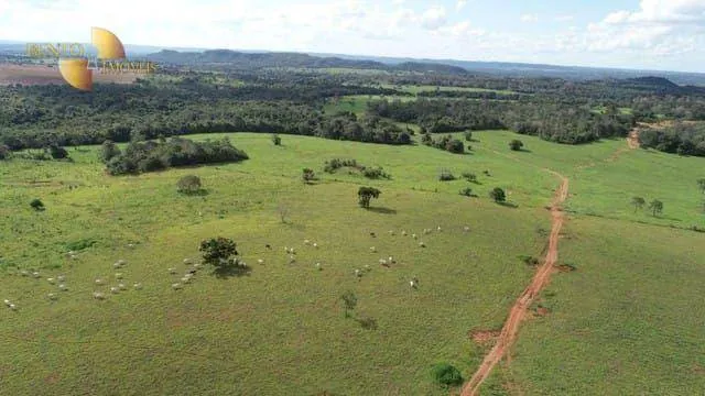 Fazenda à venda de 407 ha em Dom Aquino, MT, Brasil