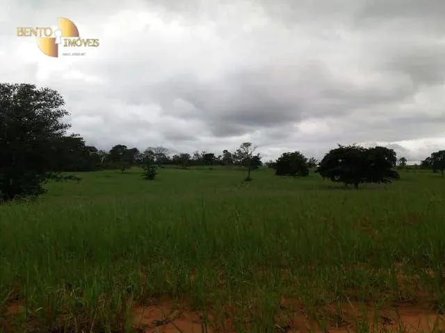 Fazenda à venda de 407 ha em Dom Aquino, MT, Brasil