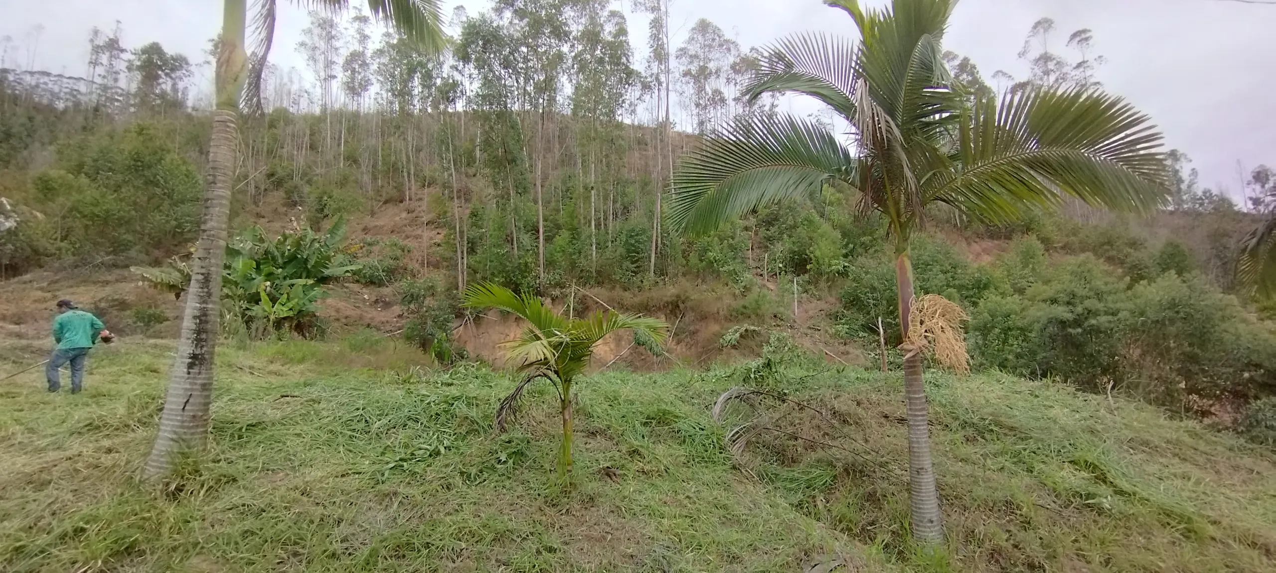 Plot for sale of 3,000 m² in Domingos Martins, ES, Brazil