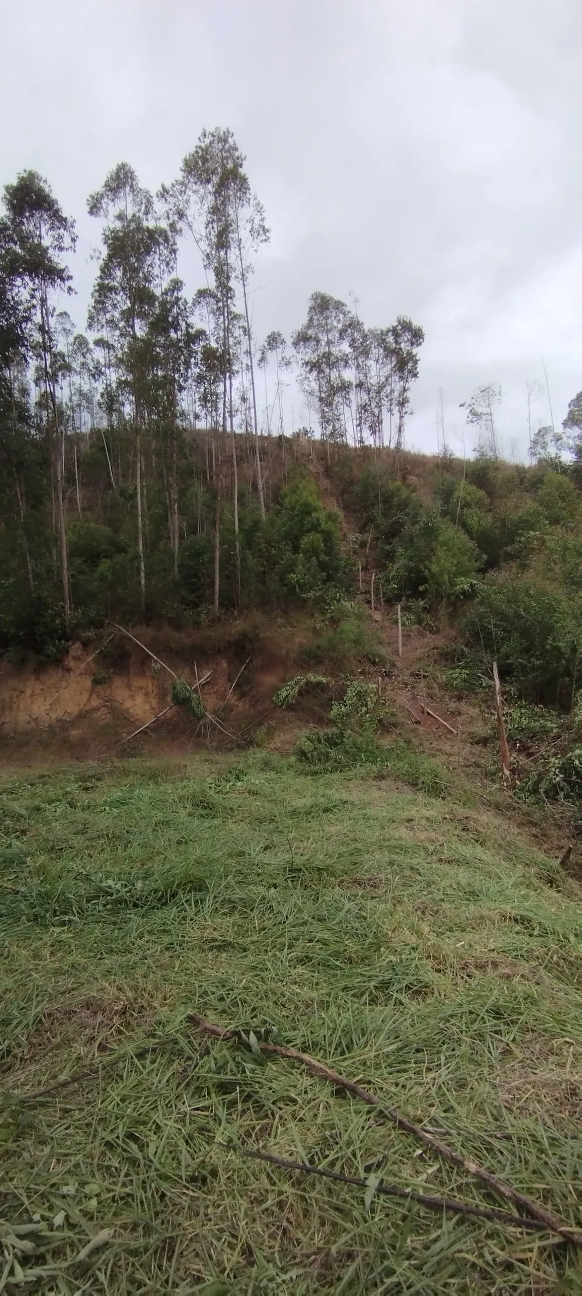 Plot for sale of 3,000 m² in Domingos Martins, ES, Brazil