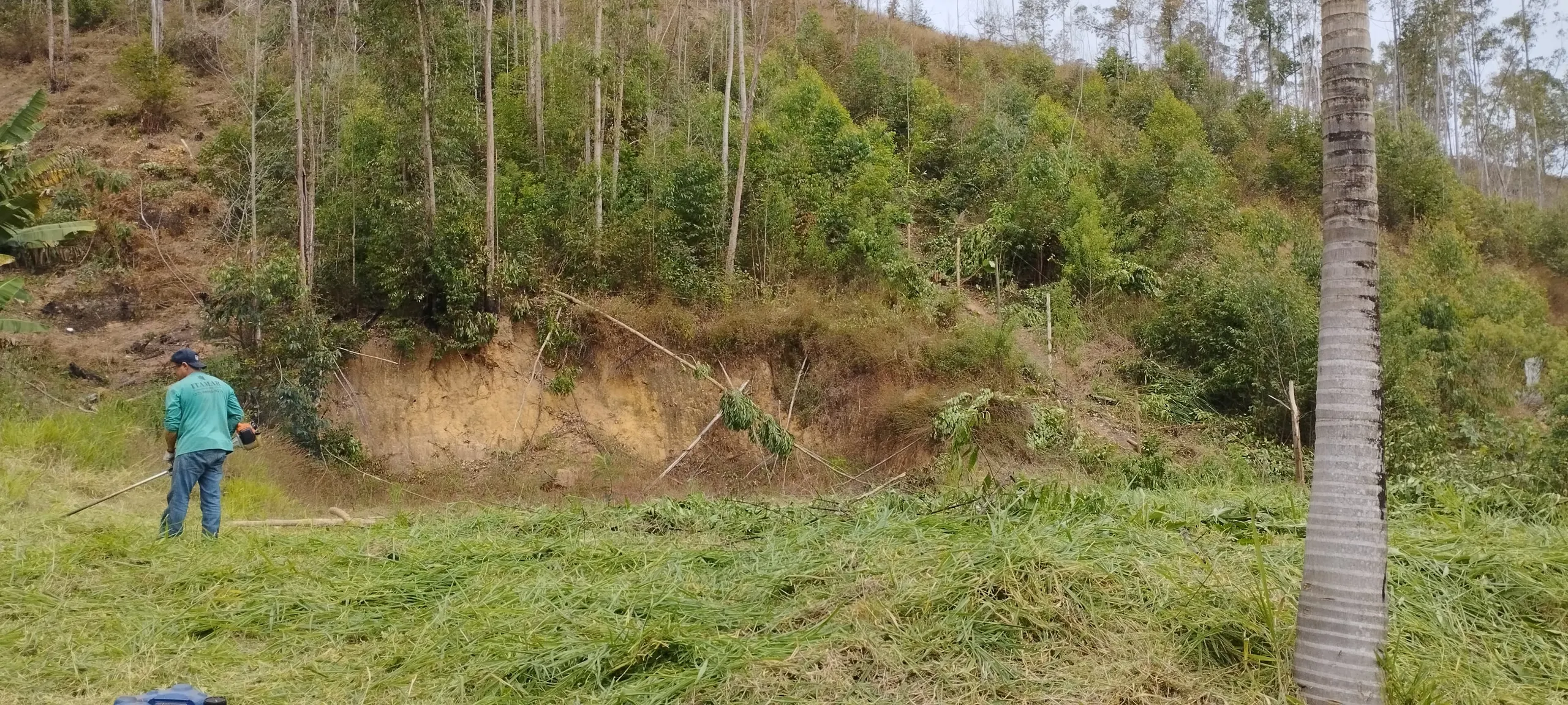 Plot for sale of 3,000 m² in Domingos Martins, ES, Brazil