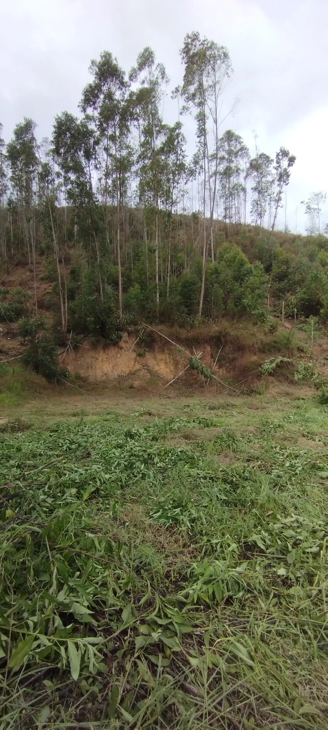 Terreno à venda de 3.000 m² em Domingos Martins, ES, Brasil
