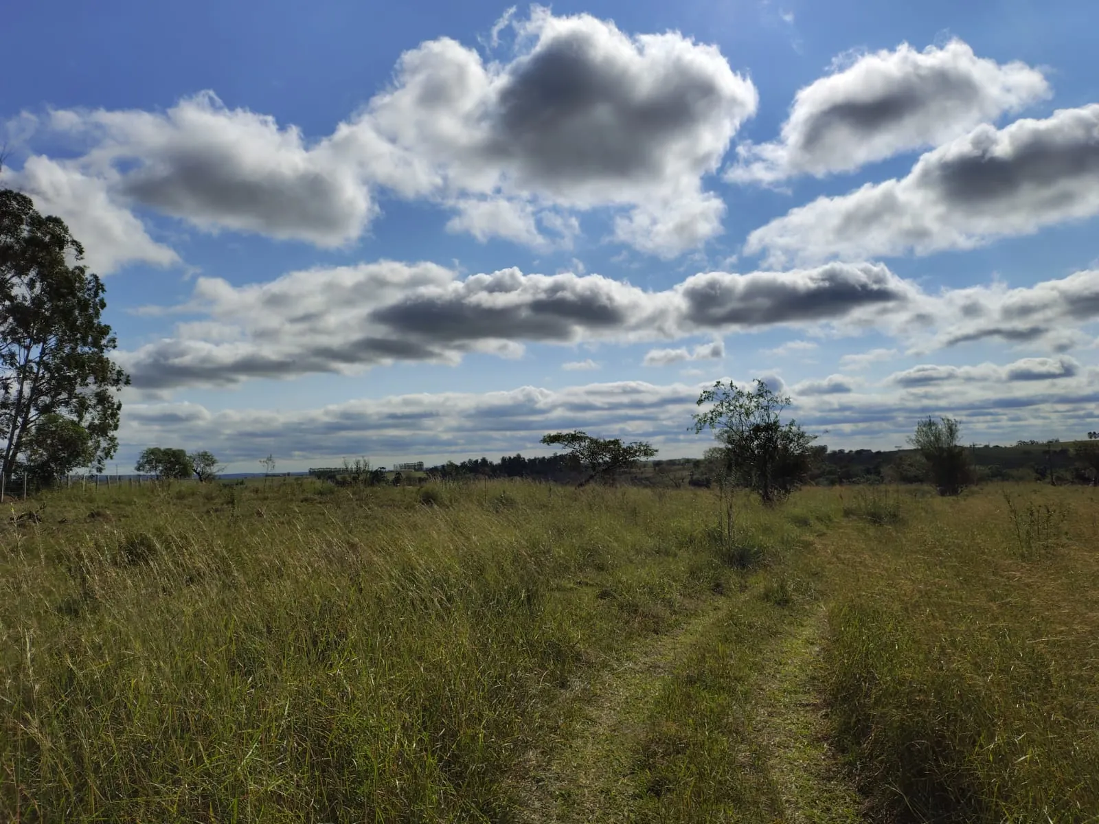Sítio à venda de 65 ha em Porangaba, SP, Brasil