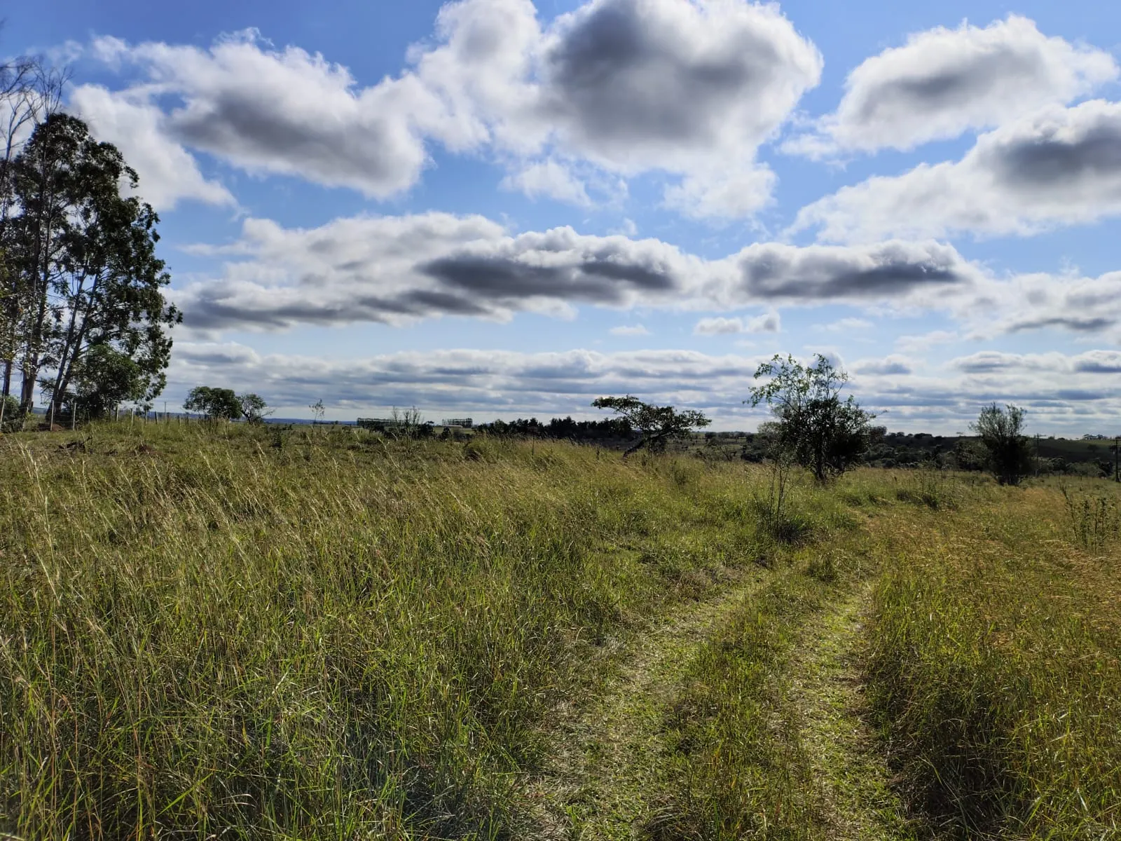 Sítio à venda de 65 ha em Porangaba, SP, Brasil