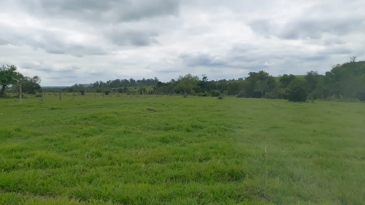 Sítio à venda de 65 ha em Porangaba, SP, Brasil