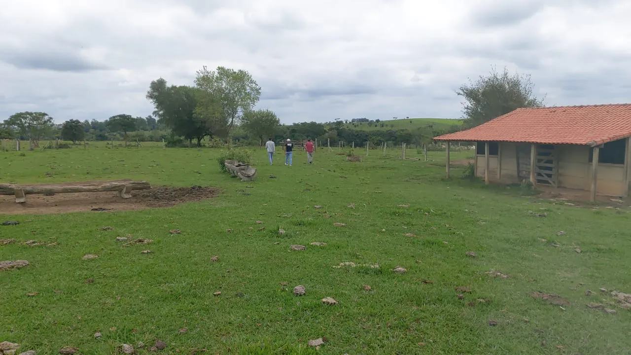 Sítio à venda de 65 ha em Porangaba, SP, Brasil