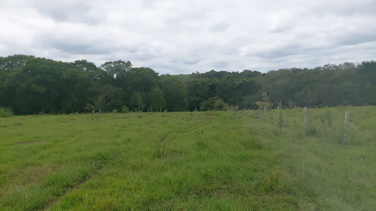 Sítio à venda de 65 ha em Porangaba, SP, Brasil
