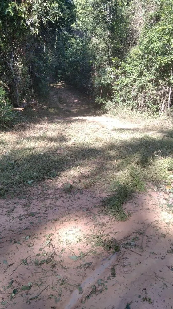 Fazenda à venda de 496 ha em Andaraí, BA, Brasil