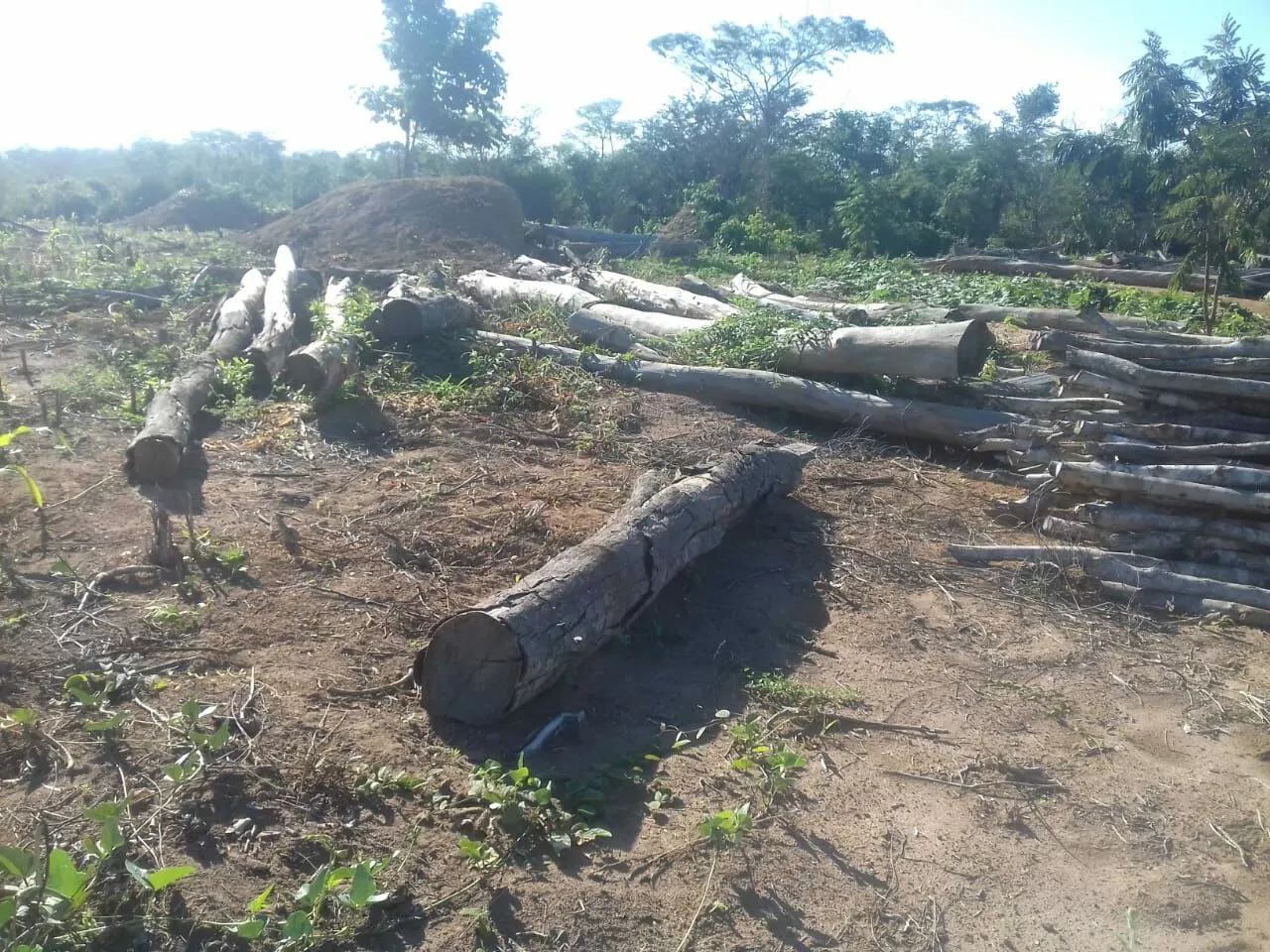 Fazenda à venda de 496 ha em Andaraí, BA, Brasil