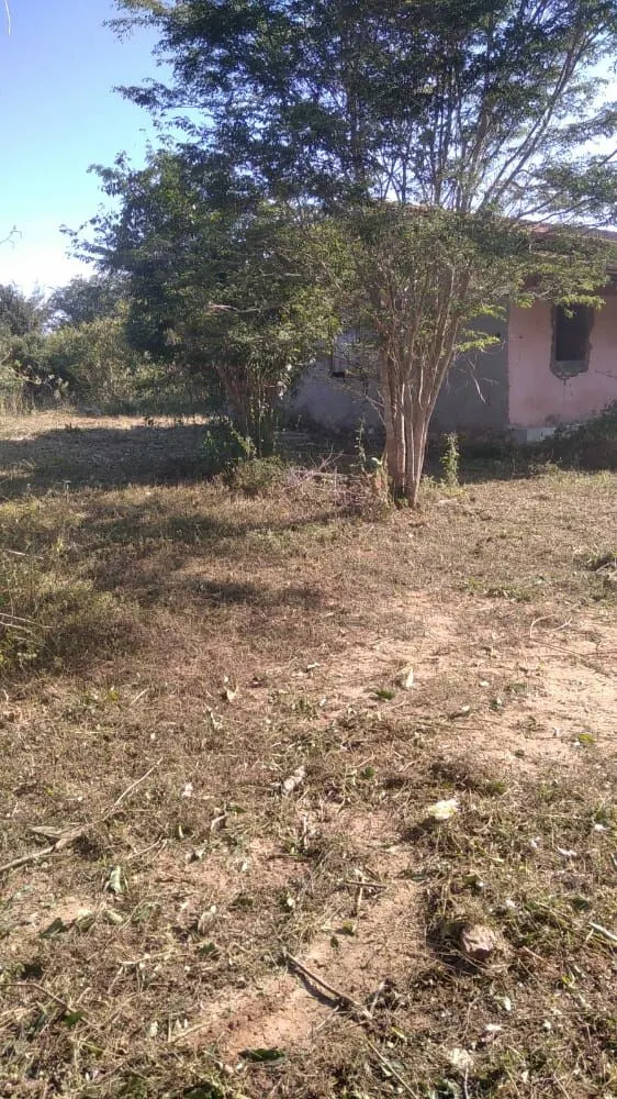 Fazenda à venda de 496 ha em Andaraí, BA, Brasil