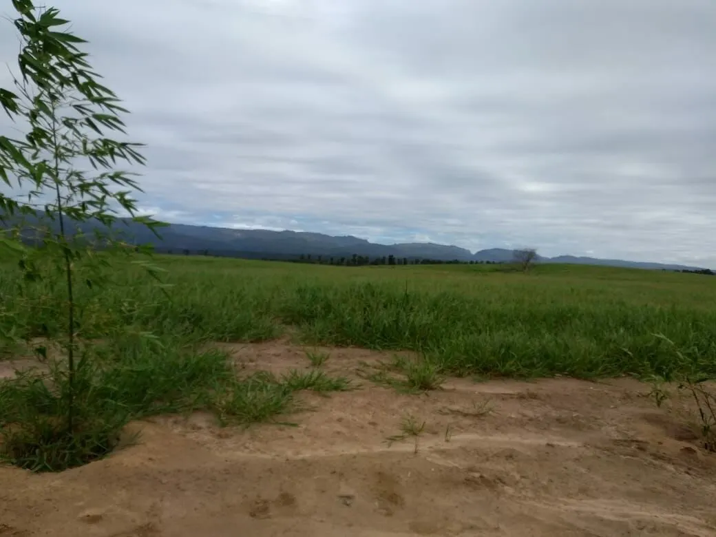 Fazenda à venda de 496 ha em Andaraí, BA, Brasil