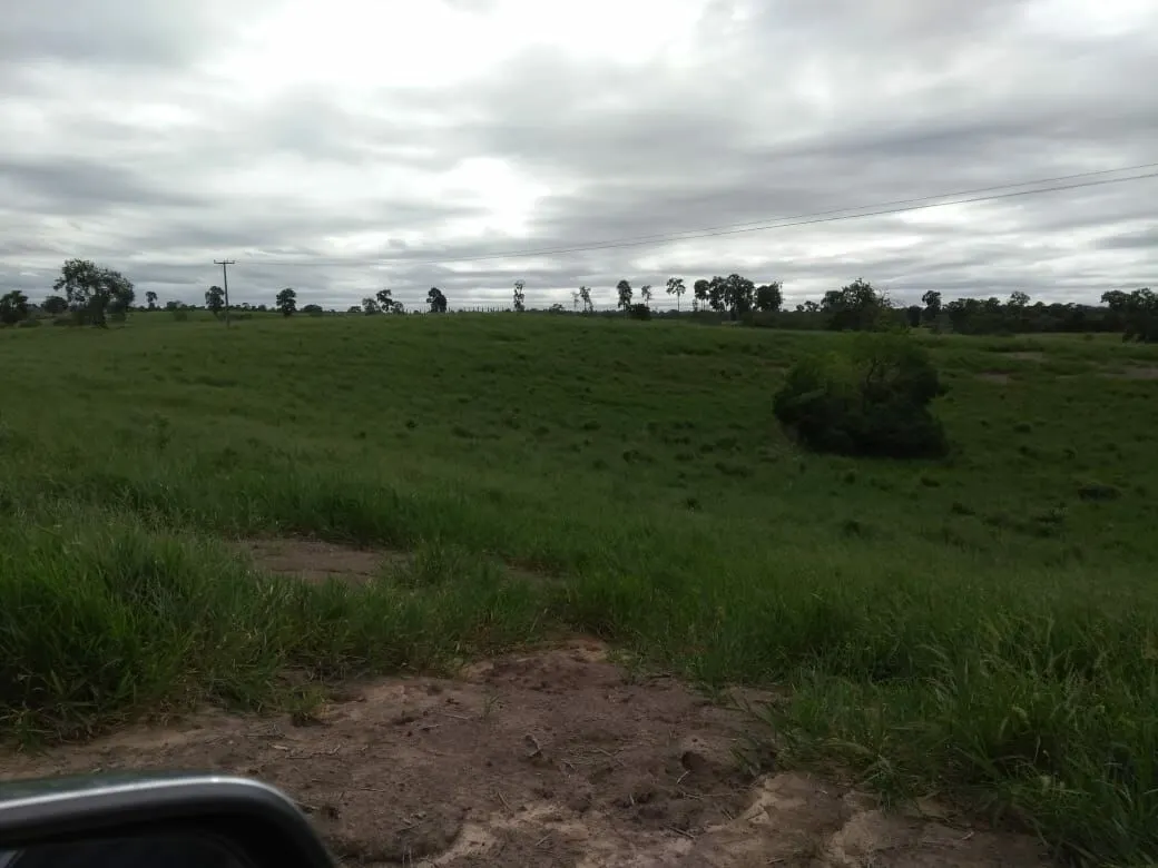 Fazenda à venda de 496 ha em Andaraí, BA, Brasil