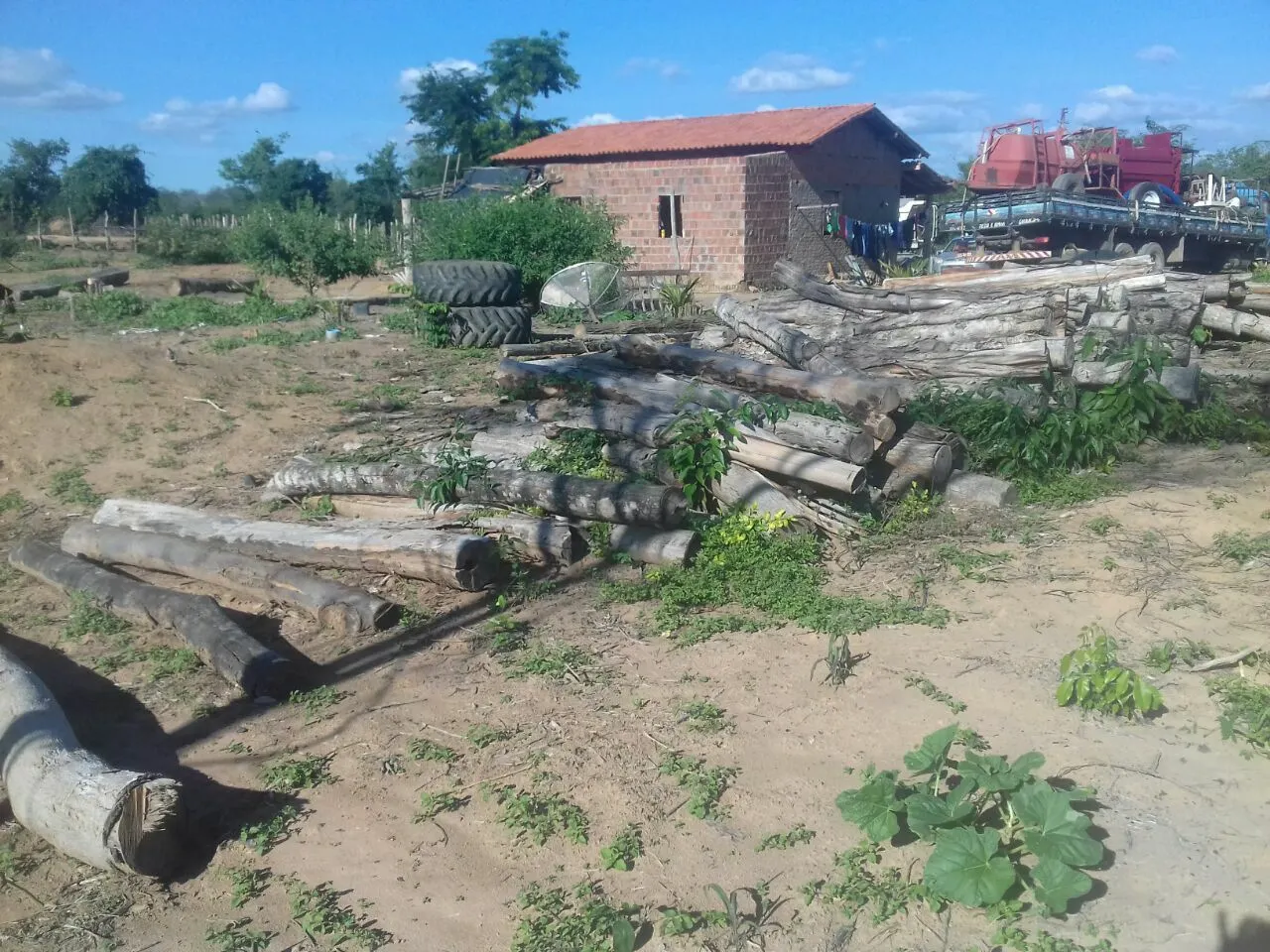 Fazenda à venda de 496 ha em Andaraí, BA, Brasil