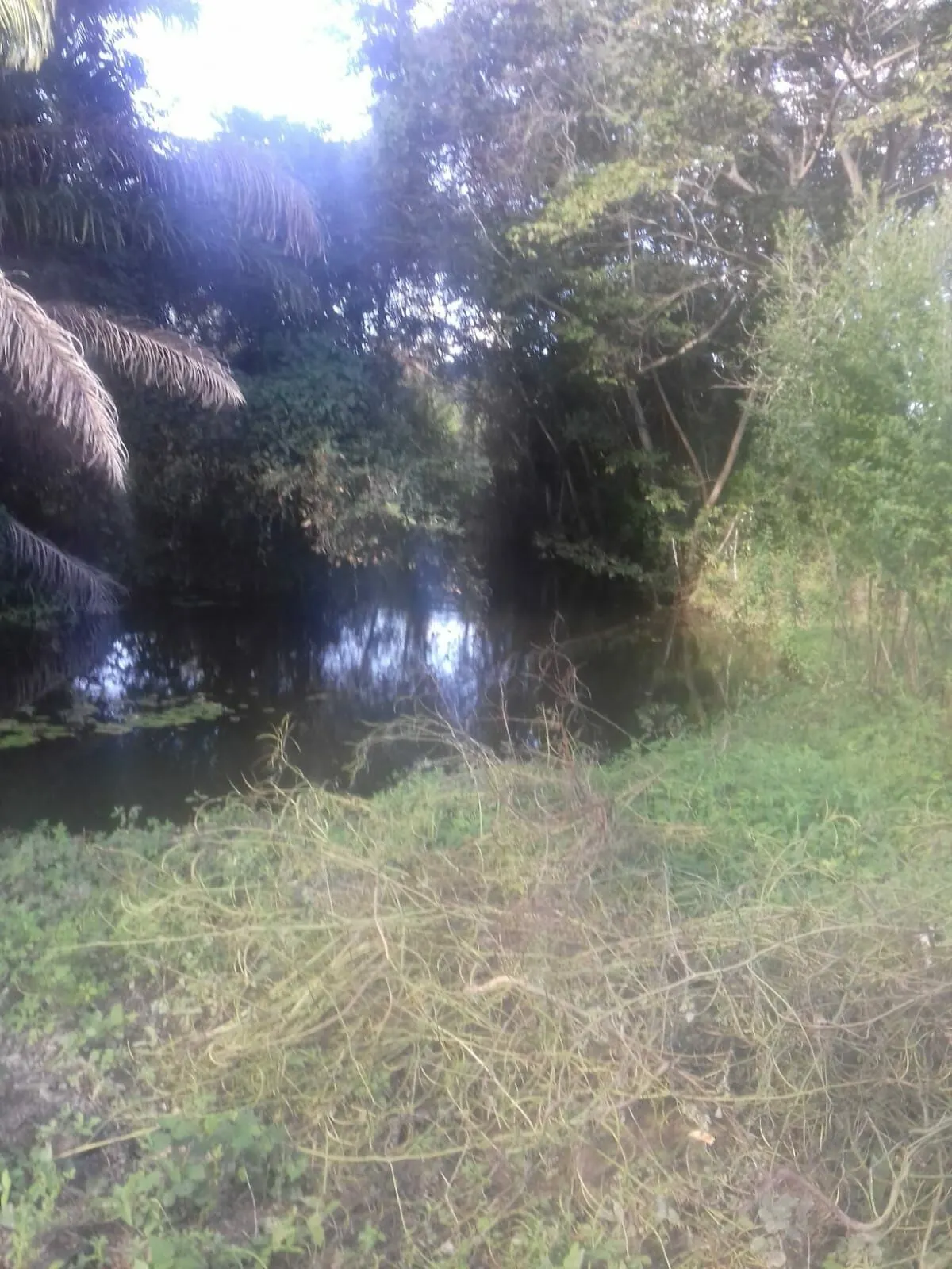 Fazenda à venda de 496 ha em Andaraí, BA, Brasil