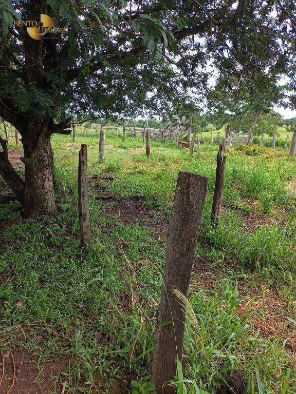 Fazenda à venda de 100 ha em Poconé, MT, Brasil