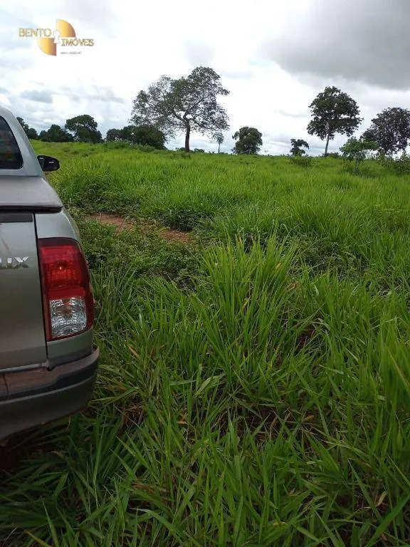 Fazenda à venda de 100 ha em Poconé, MT, Brasil