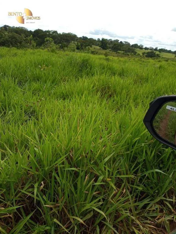 Fazenda à venda de 100 ha em Poconé, MT, Brasil