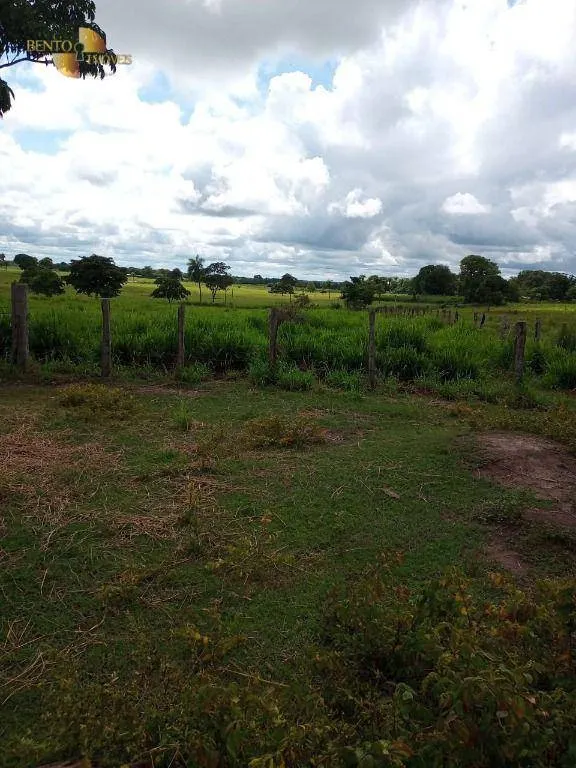 Fazenda à venda de 100 ha em Poconé, MT, Brasil