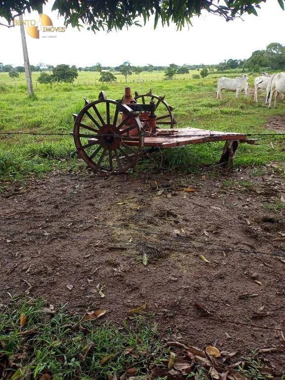 Fazenda à venda de 100 ha em Poconé, MT, Brasil
